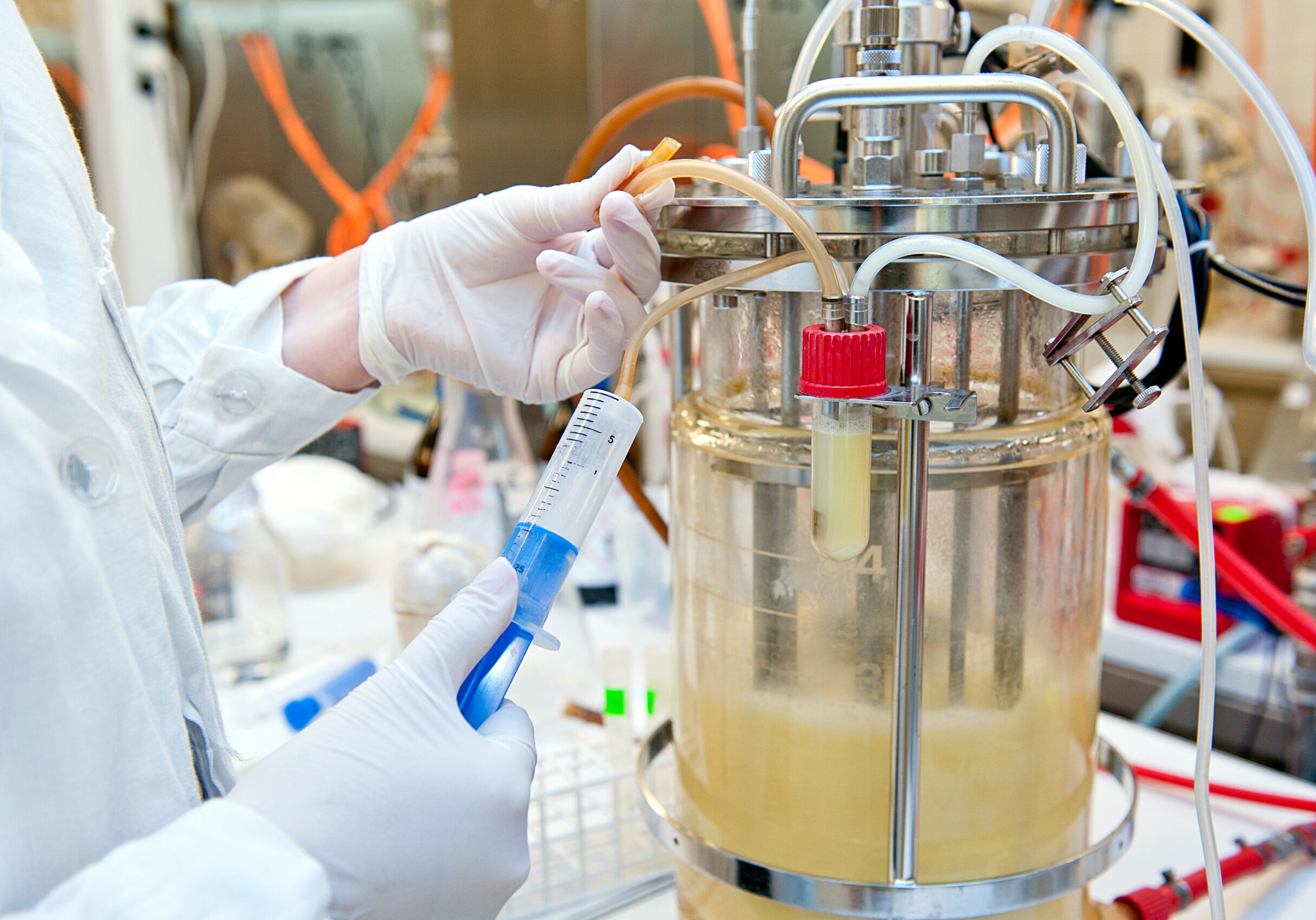 Taking sample from biotechnological bioreactor in microbiological laboratory.