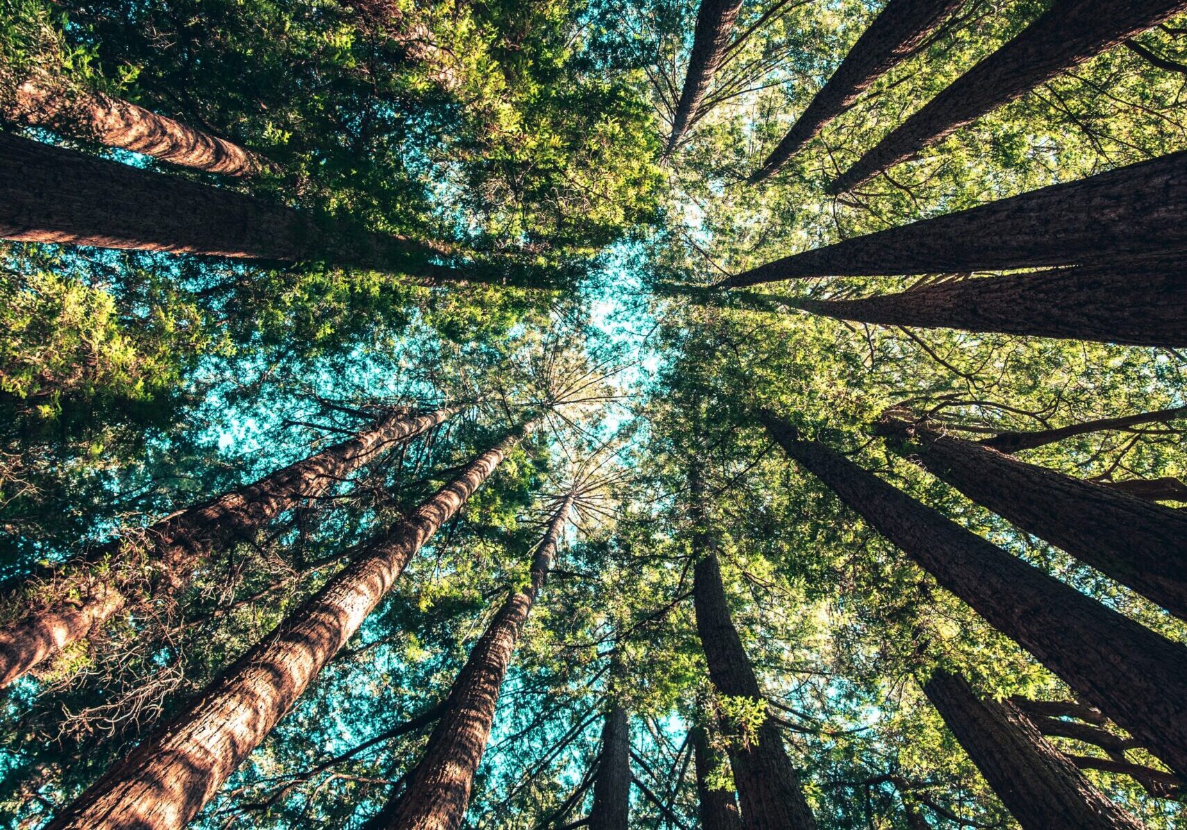 casey-horner-4rDCa5hBlCs-unsplash