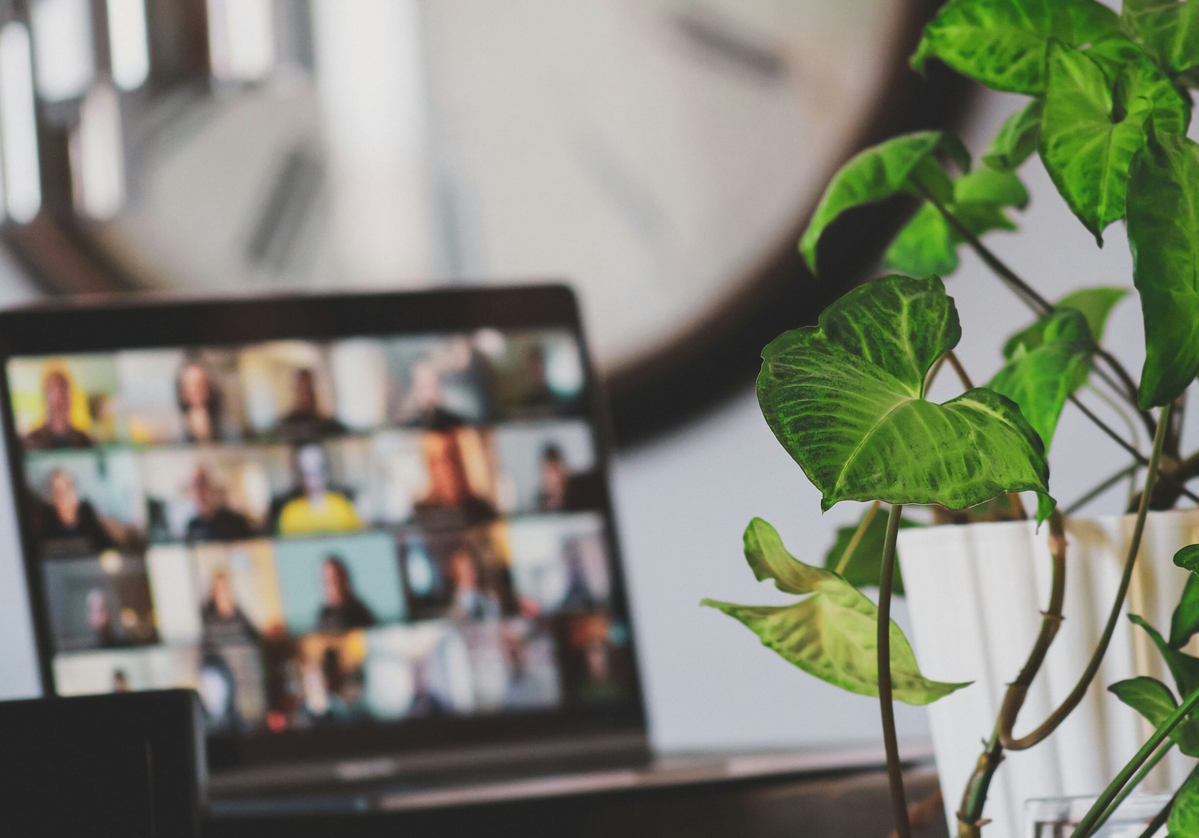 work from home photo